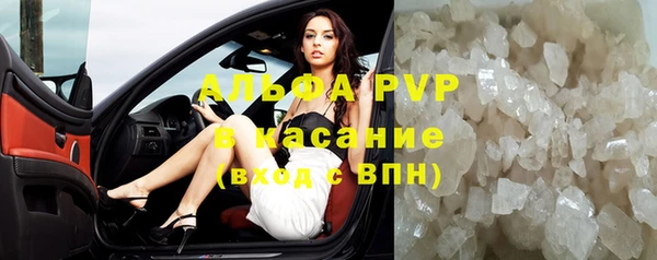 стаф Абинск