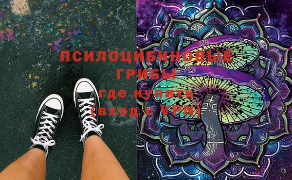 мяу мяу мука Алексин