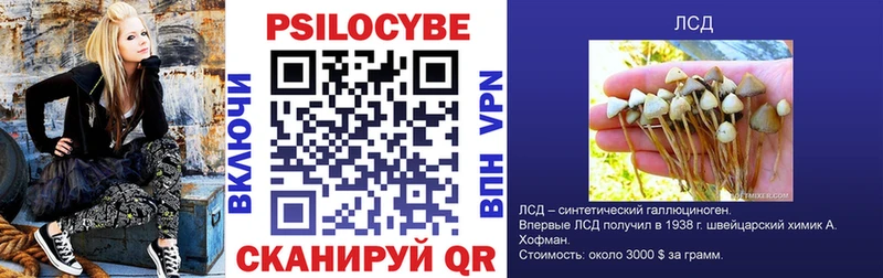 Галлюциногенные грибы ЛСД  закладка  Котлас 