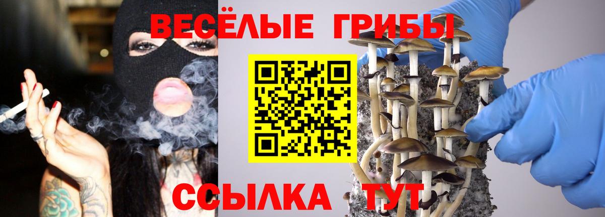 Псилоцибиновые грибы прущие грибы Котлас