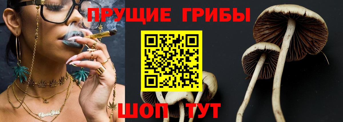 Галлюциногенные грибы Cubensis  Галлюциногенные грибы Psilocybine cubensis  Вход с VPN  Котлас 