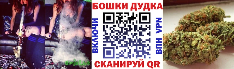 Конопля сатива  Котлас 